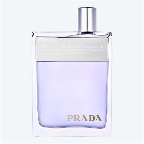 prada amber pour homme 100ml|prada amber pour homme discontinued.